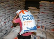 Pemprov Sultra Alokasikan Rp1 M untuk Tambah Cadangan Beras