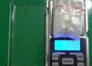 Wanita yang Edarkan 12 Gram Sabu di Kendari Diringkus Polisi