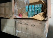 Bea Cukai Kendari Temukan 160 Ribu Batang Rokok Ilegal di Ekspedisi