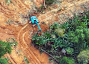 Kemenhut Tetapkan Tersangka Dalang Pembukaan Hutan Lindung di Sultra