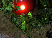 Warga di Muna Geger Temuan Mayat Perempuan dalam Sumur, Diduga Dibunuh Anaknya