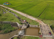 Perkuat Ketahanan Pangan, Sultra Dapat Tambahan Cetak Sawah 10 Ribu Hektare